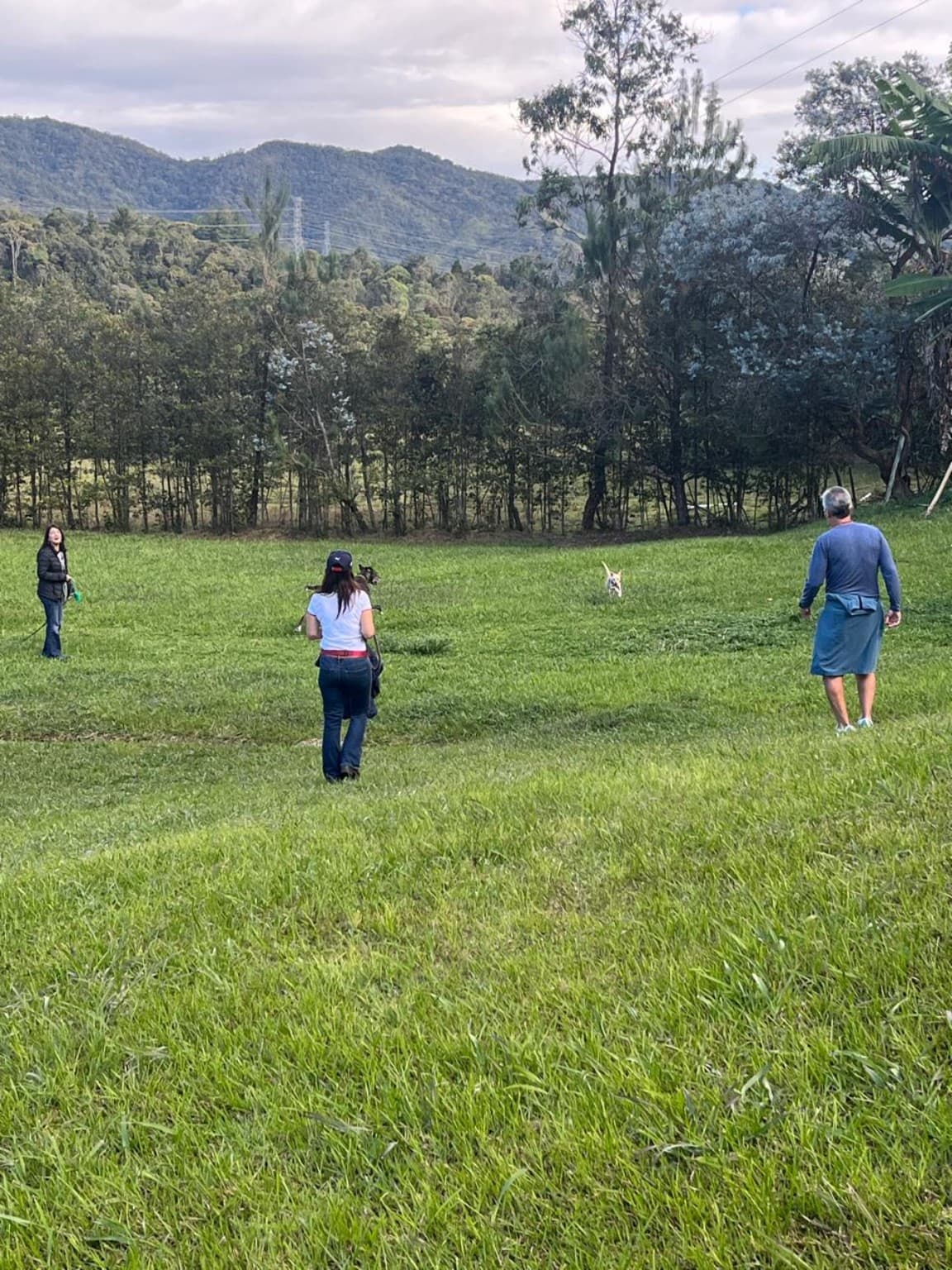 Grupo de visitantes con un perro en el prado de La Julia