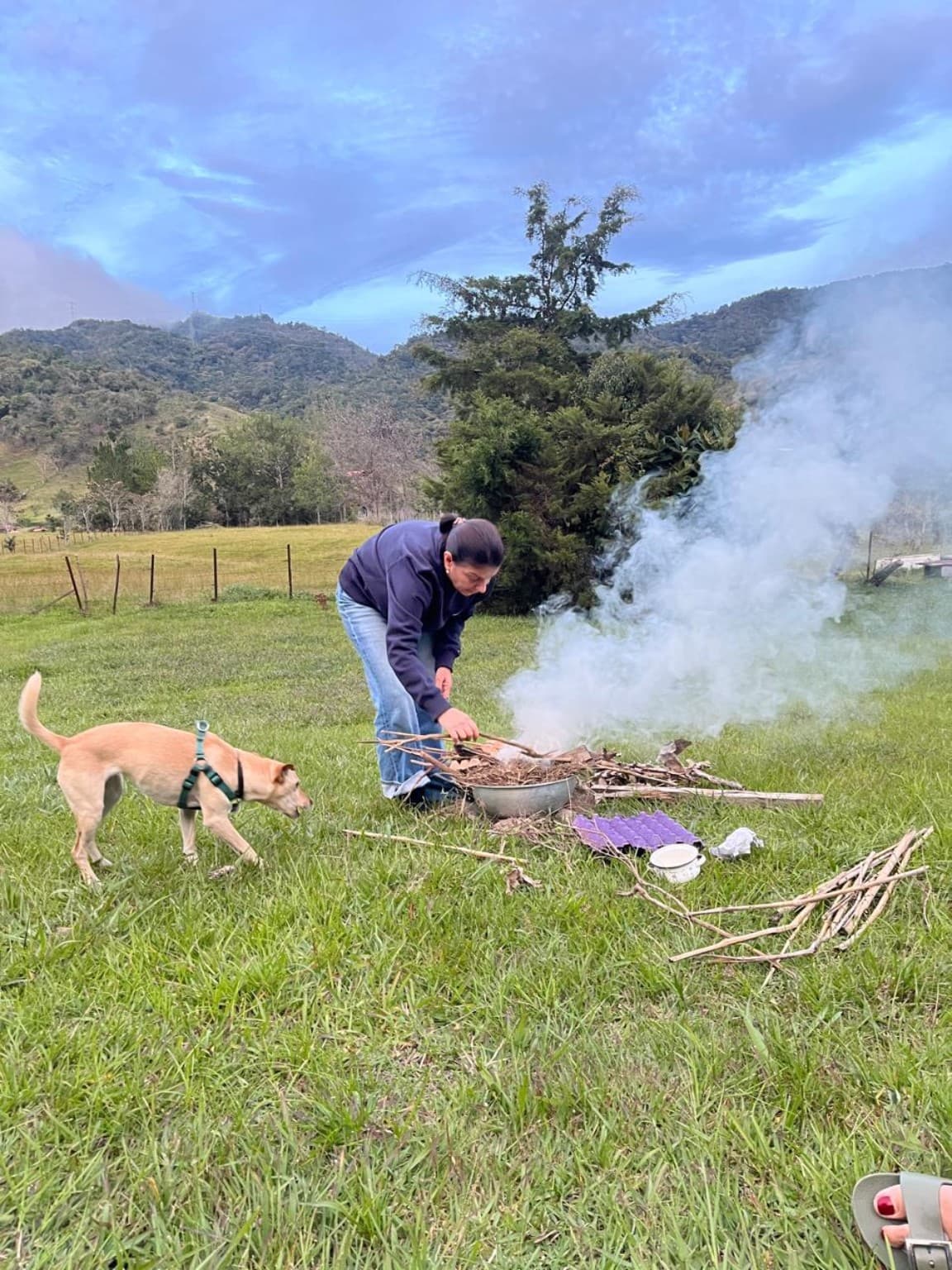 Preparación de la fogata con un perro en el prado de La Julia