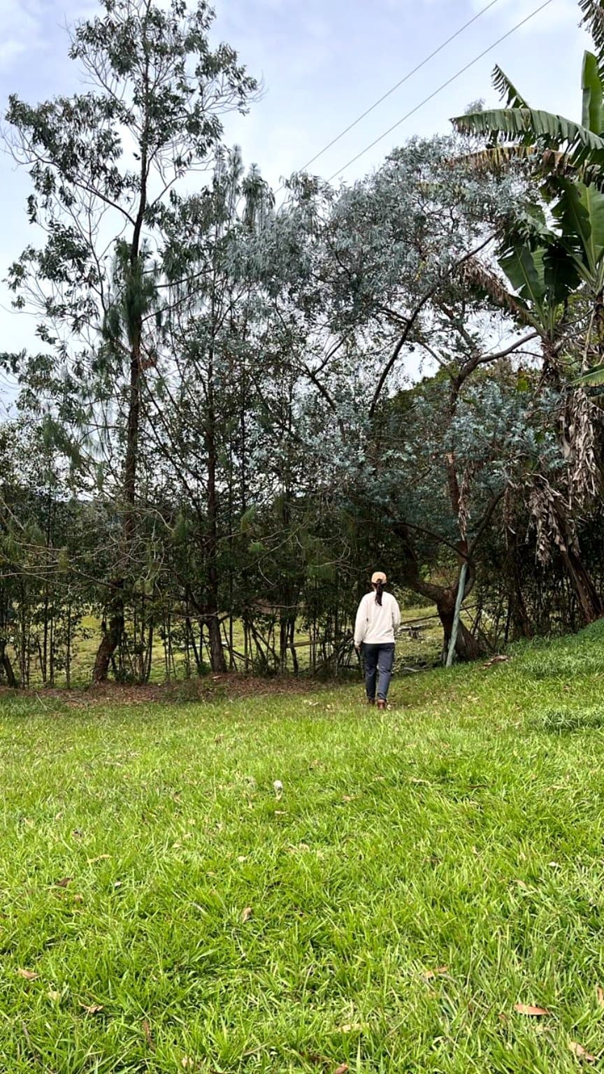Visitante caminando entre el paisaje verde cercano a La Julia